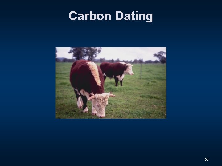 Carbon Dating 59 