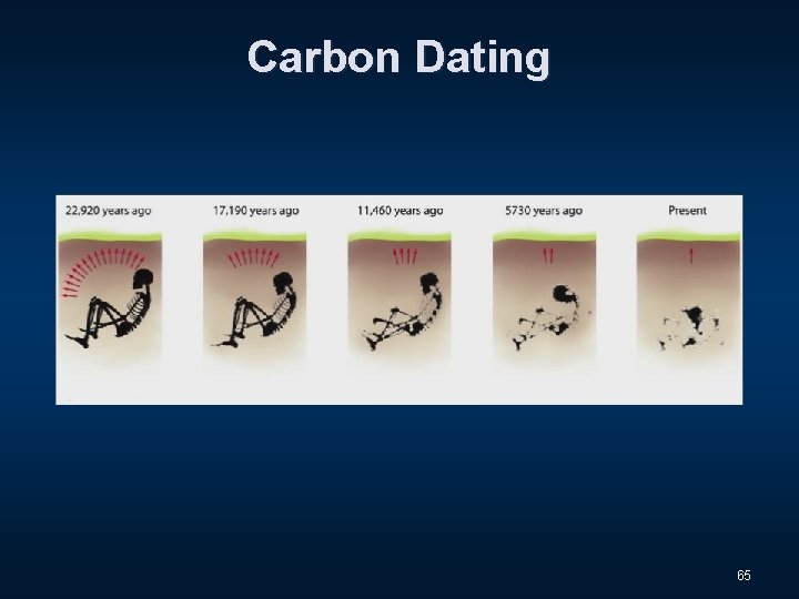Carbon Dating 65 