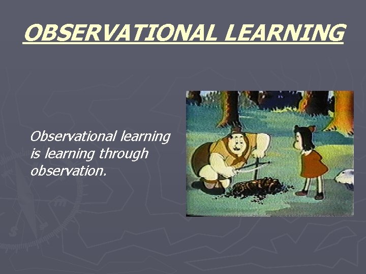 OBSERVATIONAL LEARNING Observational learning is learning through observation. 
