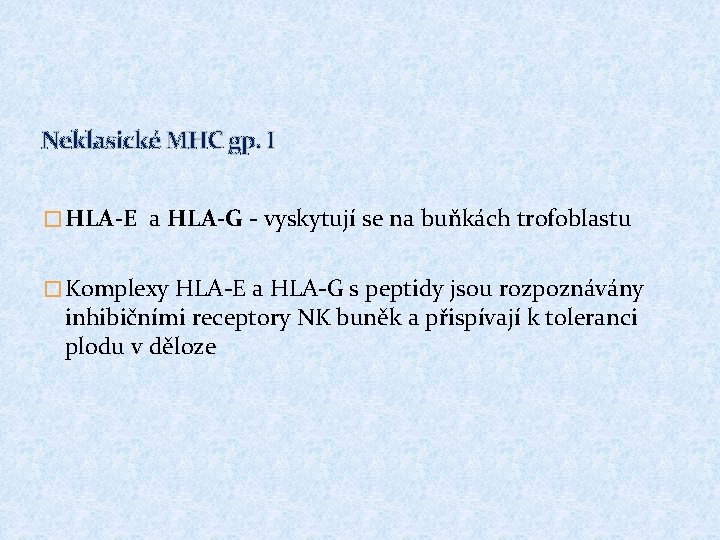 Neklasické MHC gp. I � HLA-E a HLA-G - vyskytují se na buňkách trofoblastu