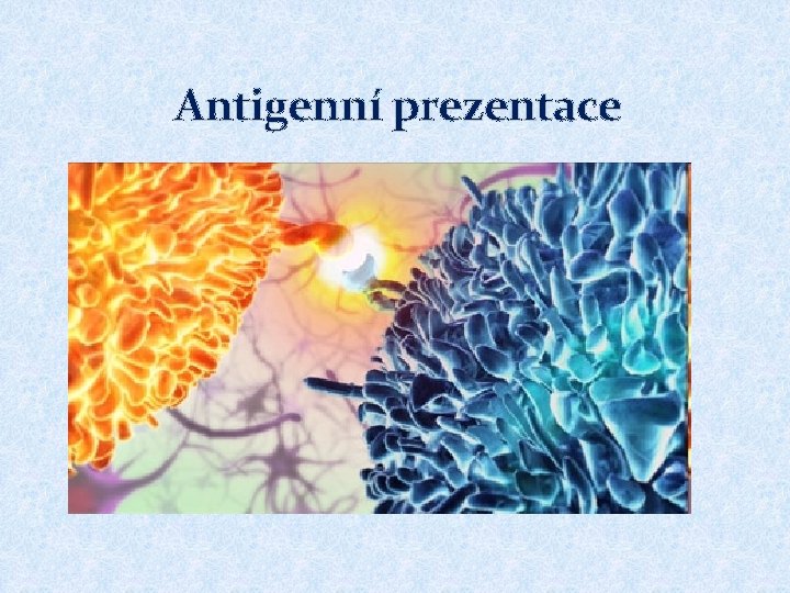 Antigenní prezentace 