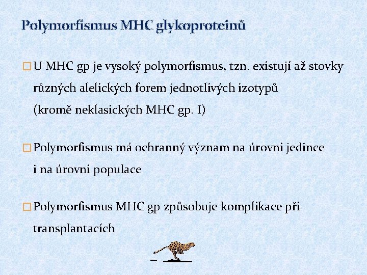 Polymorfismus MHC glykoproteinů � U MHC gp je vysoký polymorfismus, tzn. existují až stovky