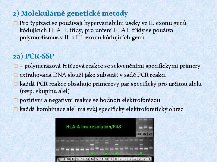 2) Molekulárně genetické metody � Pro typizaci se používají hypervariabilní úseky ve II. exonu