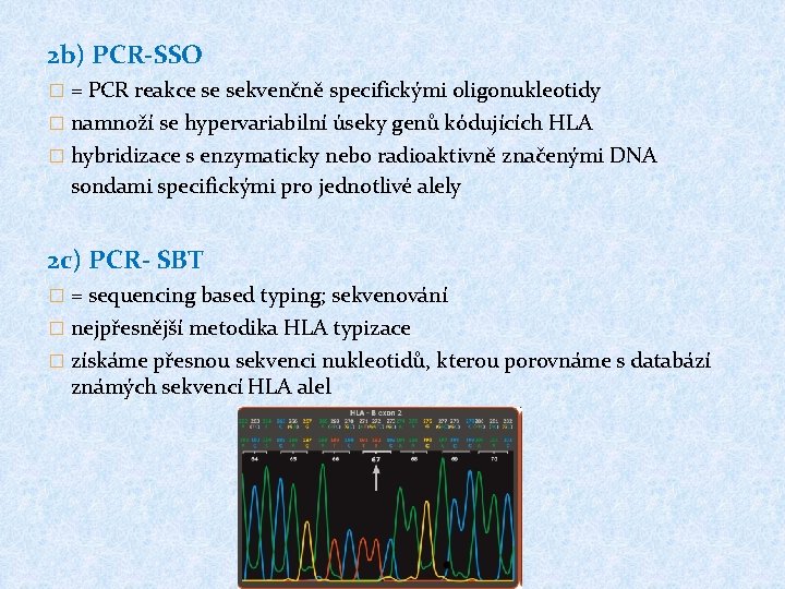 2 b) PCR-SSO � = PCR reakce se sekvenčně specifickými oligonukleotidy � namnoží se