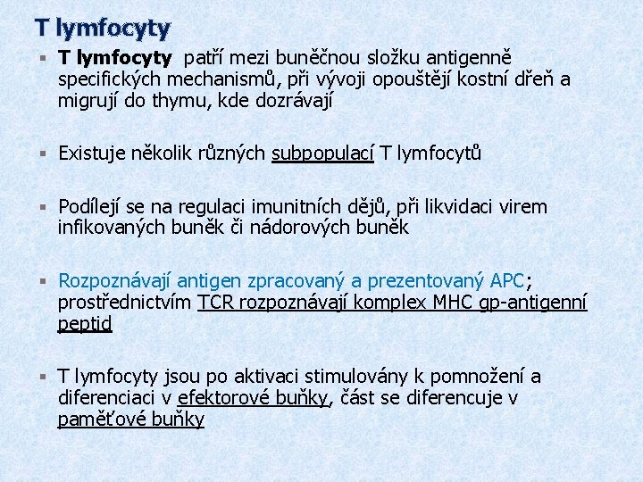 T lymfocyty § T lymfocyty patří mezi buněčnou složku antigenně specifických mechanismů, při vývoji