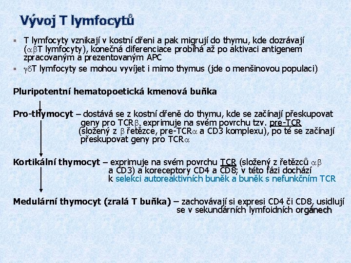 Vývoj T lymfocytů § T lymfocyty vznikají v kostní dřeni a pak migrují do