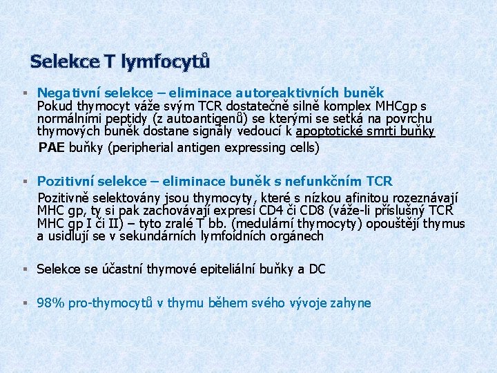 Selekce T lymfocytů § Negativní selekce – eliminace autoreaktivních buněk Pokud thymocyt váže svým