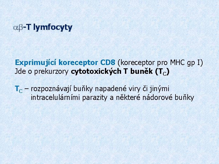 ab-T lymfocyty Exprimující koreceptor CD 8 (koreceptor pro MHC gp I) Jde o prekurzory
