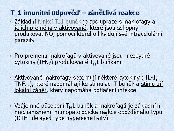 TH 1 imunitní odpověď – zánětlivá reakce § Základní funkcí TH 1 buněk je