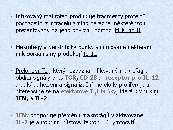 § Infikovaný makrofág produkuje fragmenty proteinů pocházející z intracelulárního parazita, některé jsou prezentovány na