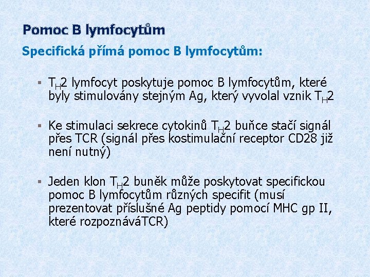 Pomoc B lymfocytům Specifická přímá pomoc B lymfocytům: § TH 2 lymfocyt poskytuje pomoc