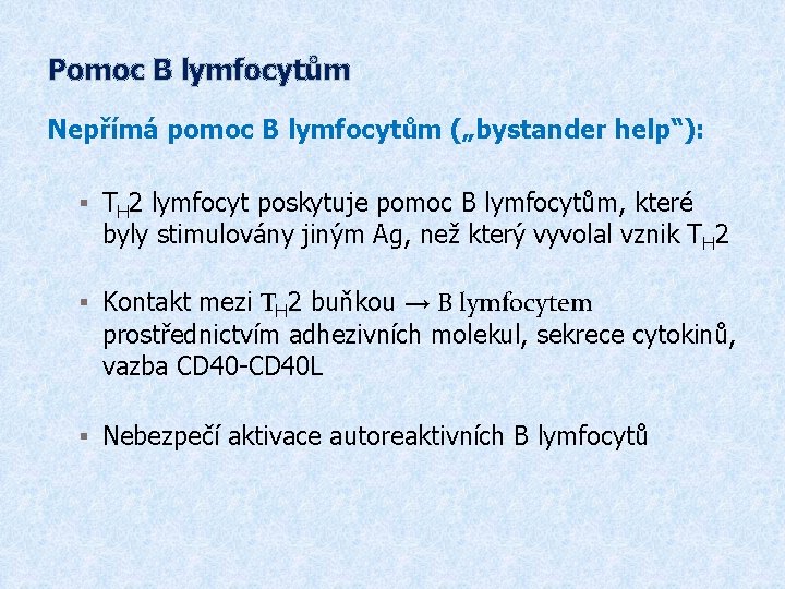 Pomoc B lymfocytům Nepřímá pomoc B lymfocytům („bystander help“): § TH 2 lymfocyt poskytuje