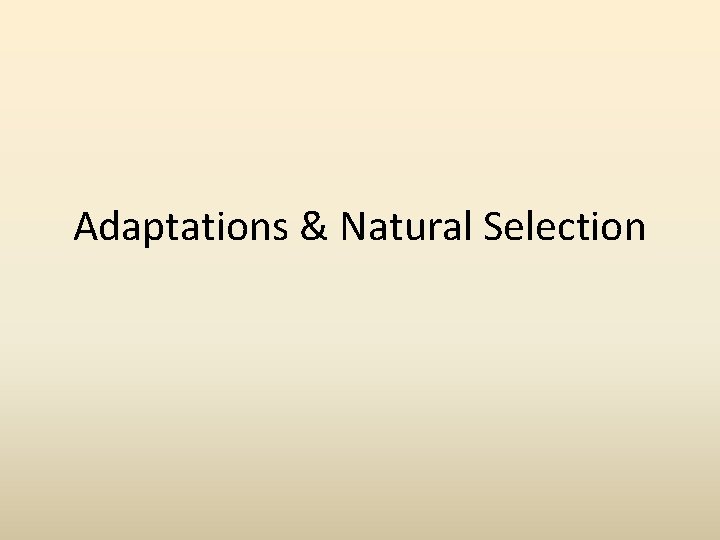 Adaptations & Natural Selection 