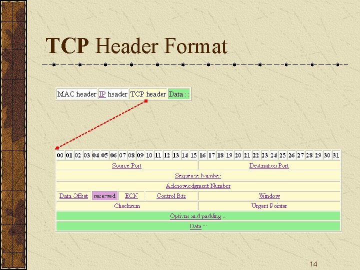 TCP Header Format 14 