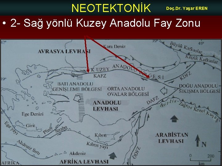 NEOTEKTONİK • 2 - Sağ yönlü Kuzey Anadolu Fay Zonu Doç. Dr. Yaşar EREN