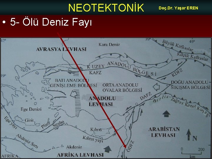 NEOTEKTONİK • 5 - Ölü Deniz Fayı Doç. Dr. Yaşar EREN 
