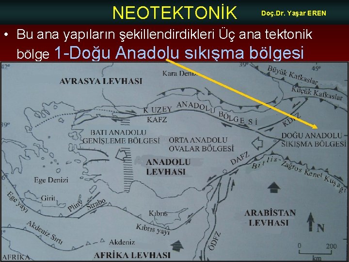 NEOTEKTONİK Doç. Dr. Yaşar EREN • Bu ana yapıların şekillendirdikleri Üç ana tektonik bölge