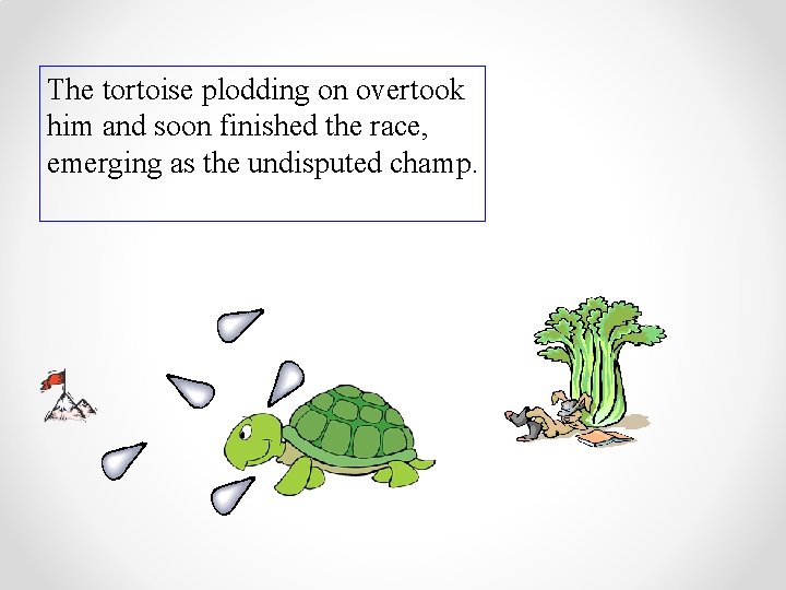The tortoise plodding on overtook him and soon finished the race, emerging as the