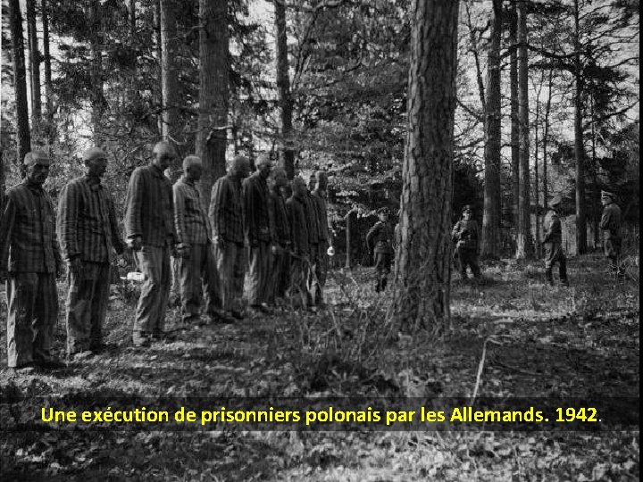 Une exécution de prisonniers polonais par les Allemands. 1942. 