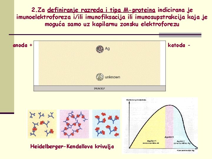 2. Za definiranje razreda i tipa M-proteina indicirana je imunoelektroforeza i/ili imunofiksacija ili imunosupstrakcija