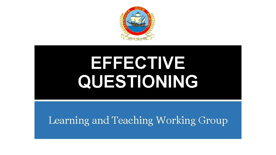 EFFECTIVE QUESTIONING Learning and Teaching Working Group 