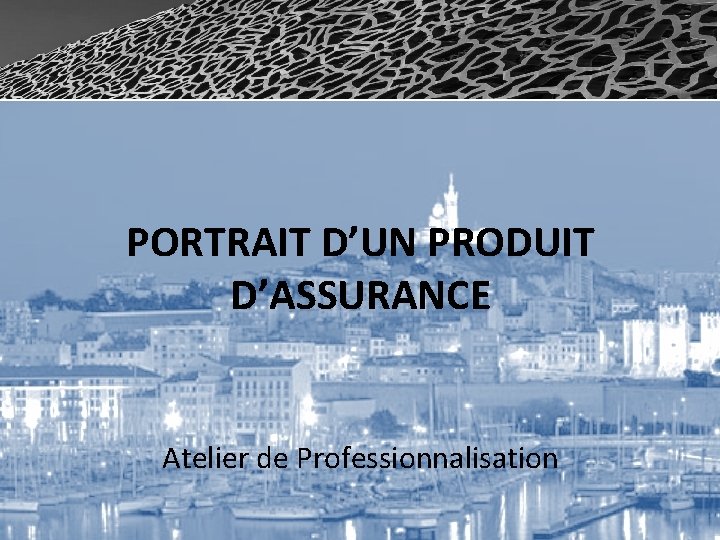 PORTRAIT D’UN PRODUIT D’ASSURANCE Atelier de Professionnalisation 