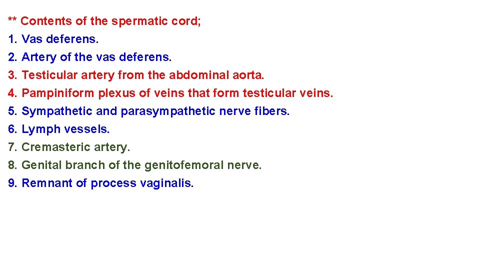 ** Contents of the spermatic cord; 1. Vas deferens. 2. Artery of the vas