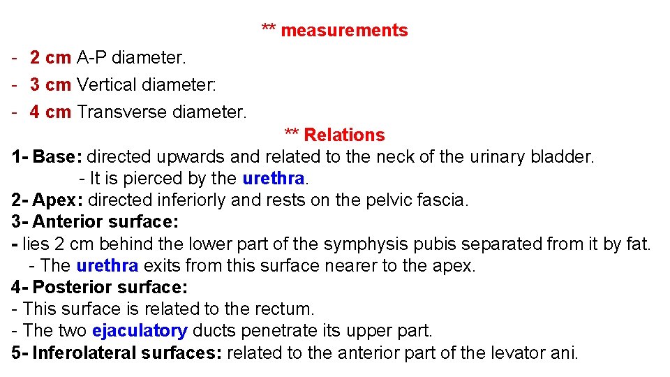 ** measurements - 2 cm A-P diameter. - 3 cm Vertical diameter: - 4