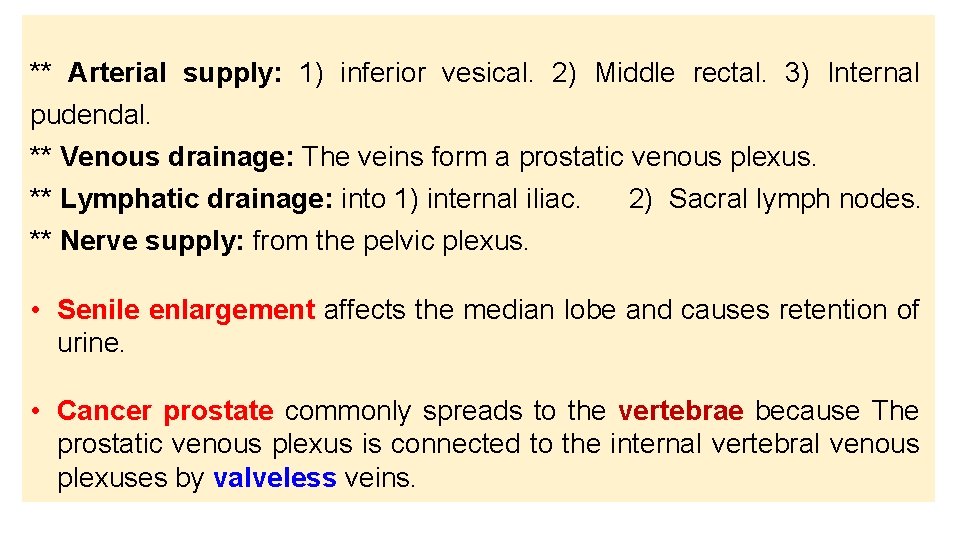 ** Arterial supply: 1) inferior vesical. 2) Middle rectal. 3) Internal pudendal. ** Venous