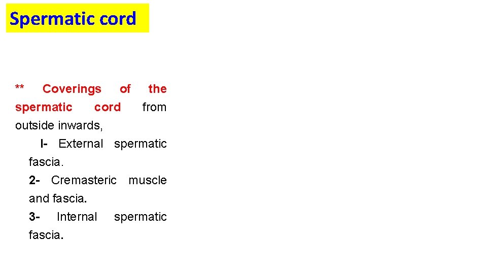 Spermatic cord ** Coverings of the spermatic cord from outside inwards, I- External spermatic