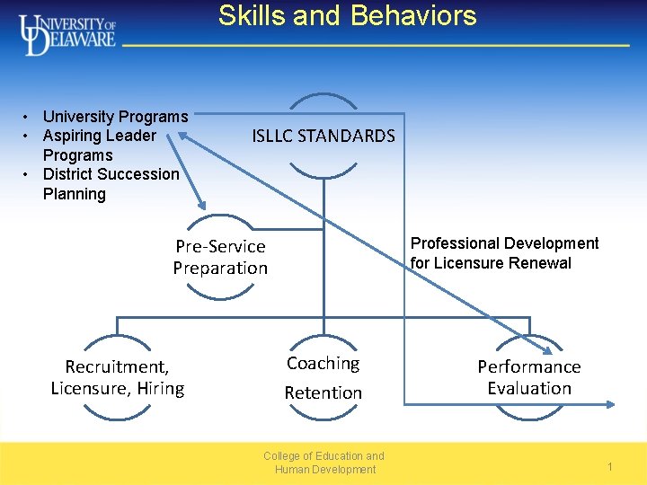 Skills and Behaviors • University Programs • Aspiring Leader Programs • District Succession Planning