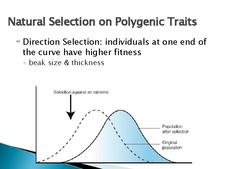 Natural Selection on Polygenic Traits Direction Selection: individuals at one end of the curve