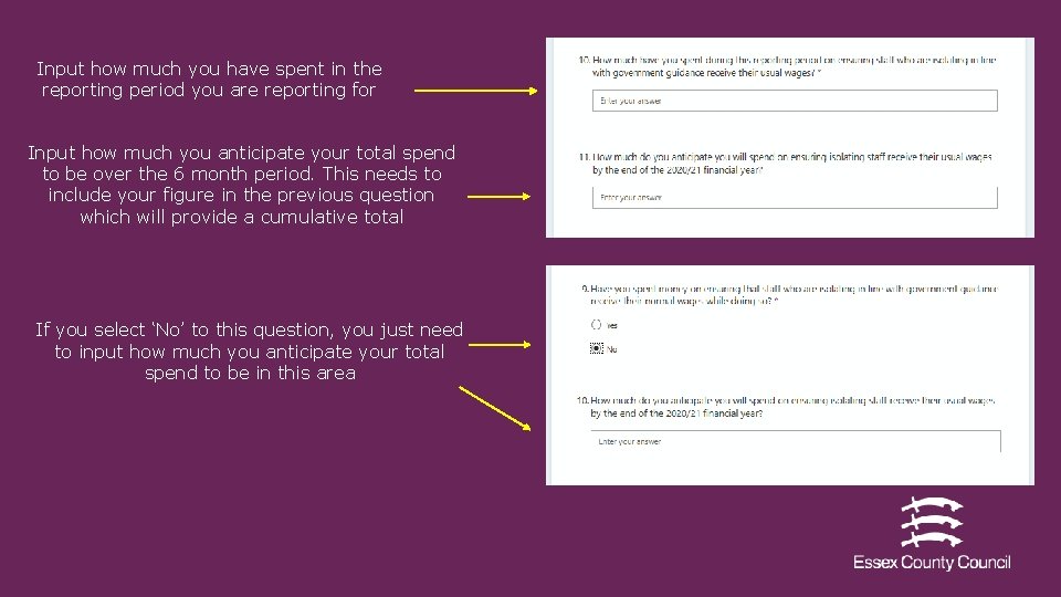 Input how much you have spent in the reporting period you are reporting for