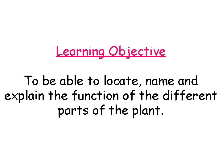 Learning Objective To be able to locate, name and explain the function of the