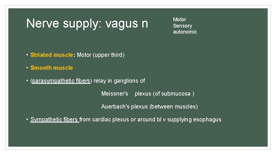 Nerve supply: vagus n Motor Sensory autonomic • Striated muscle: Motor (upper third) •