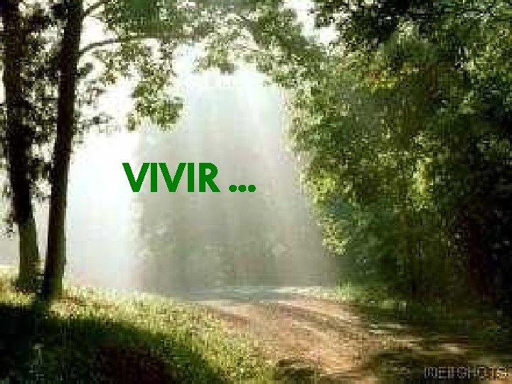 VIVIR. . . 