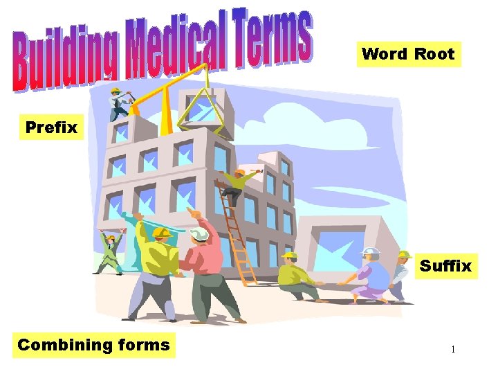 Word Root Building Medical Terms Prefix Suffix Combining forms 1 