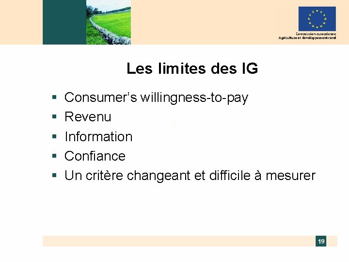 Les limites des IG § § § Consumer’s willingness-to-pay Revenu Information Confiance Un critère