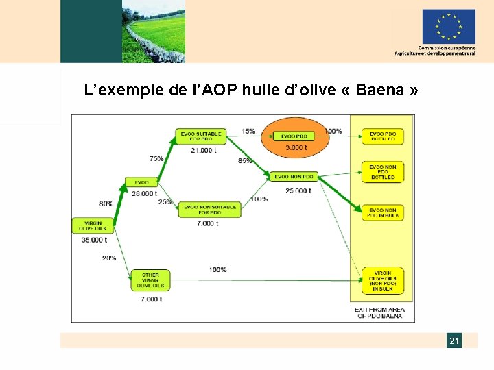 L’exemple de l’AOP huile d’olive « Baena » 21 