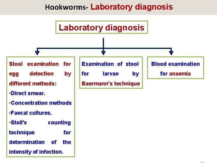 Hookworms- Laboratory diagnosis Stool examination for Examination of stool egg for detection by different