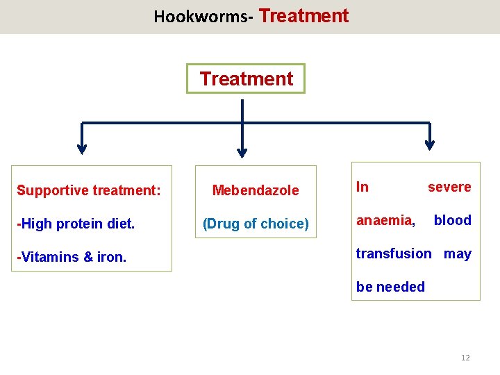 Hookworms- Treatment Supportive treatment: -High protein diet. -Vitamins & iron. Mebendazole (Drug of choice)