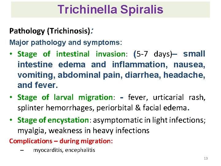 Trichinella Spiralis Pathology (Trichinosis): Major pathology and symptoms: • Stage of intestinal invasion: (5