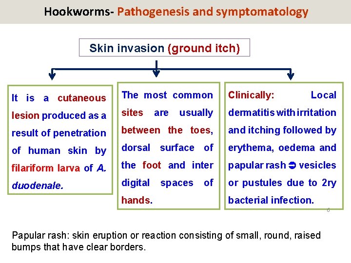 Hookworms- Pathogenesis and symptomatology Skin invasion (ground itch) It is a cutaneous The most
