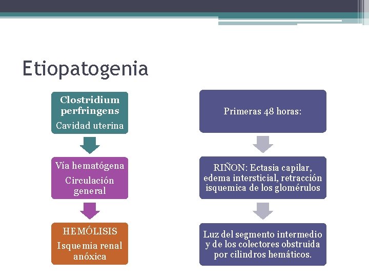 Etiopatogenia Clostridium perfringens Cavidad uterina Primeras 48 horas: Vía hematógena Circulación general RIÑON: Ectasia