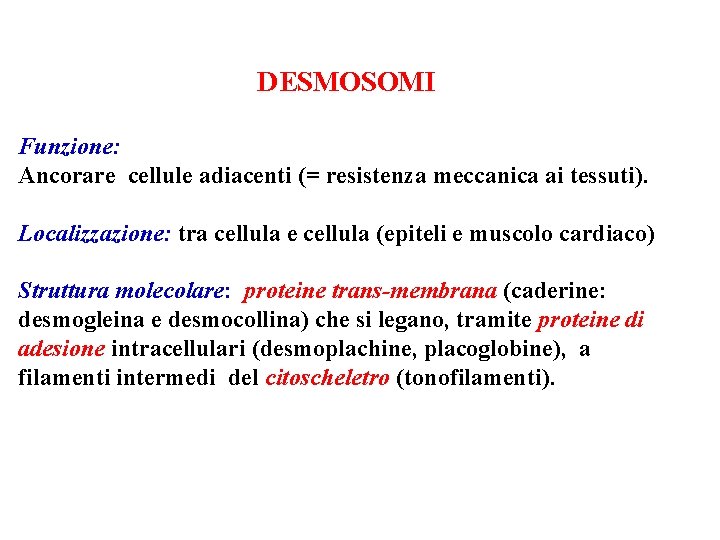 DESMOSOMI Funzione: Ancorare cellule adiacenti (= resistenza meccanica ai tessuti). Localizzazione: tra cellula e