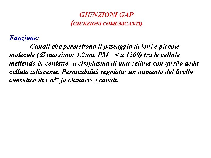 GIUNZIONI GAP (GIUNZIONI COMUNICANTI) Funzione: Canali che permettono il passaggio di ioni e piccole