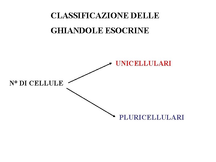 CLASSIFICAZIONE DELLE GHIANDOLE ESOCRINE UNICELLULARI N° DI CELLULE PLURICELLULARI 