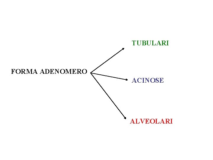 TUBULARI FORMA ADENOMERO ACINOSE ALVEOLARI 