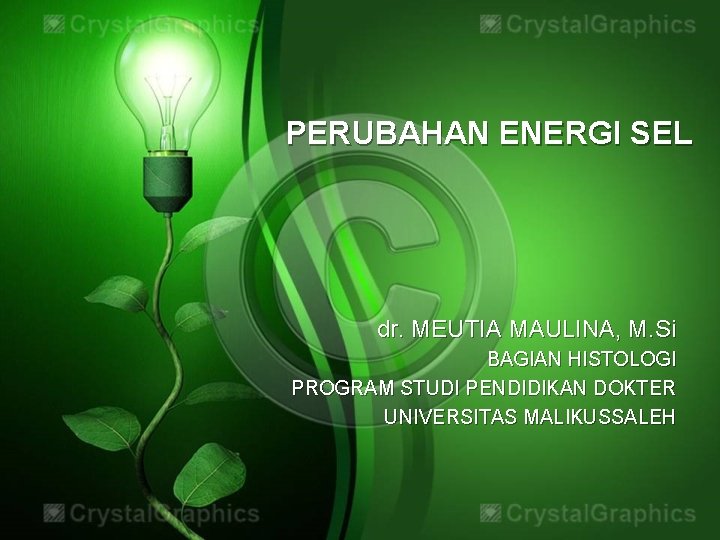 PERUBAHAN ENERGI SEL dr. MEUTIA MAULINA, M. Si BAGIAN HISTOLOGI PROGRAM STUDI PENDIDIKAN DOKTER
