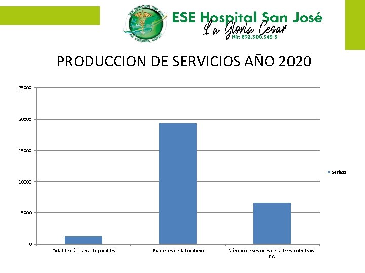 PRODUCCION DE SERVICIOS AÑO 2020 25000 20000 15000 Series 1 10000 5000 0 Total